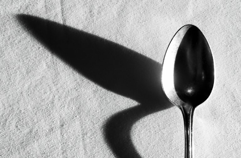 Why people experience the same organisation differently
